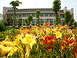 上海应用技术大学