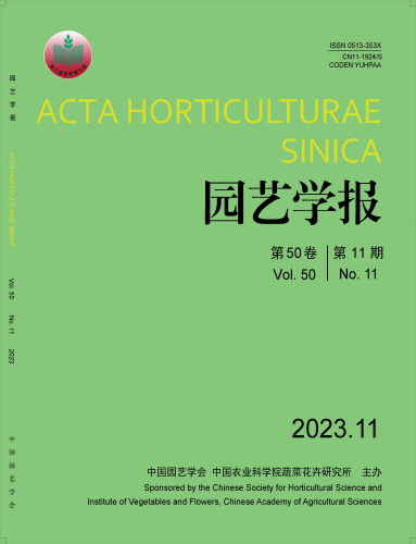 学术会议在线