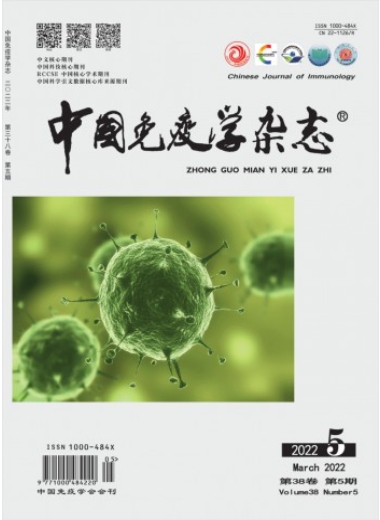 学术会议在线