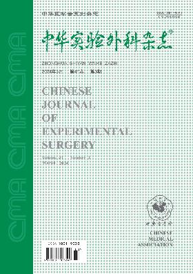 学术会议在线