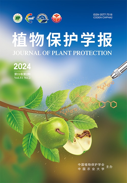 学术会议在线
