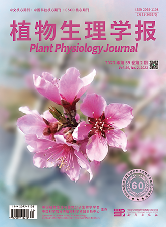 学术会议在线